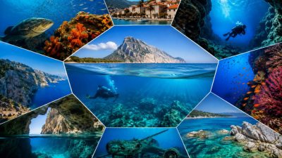 Summer is a great time to explore the Mediterranean beneath