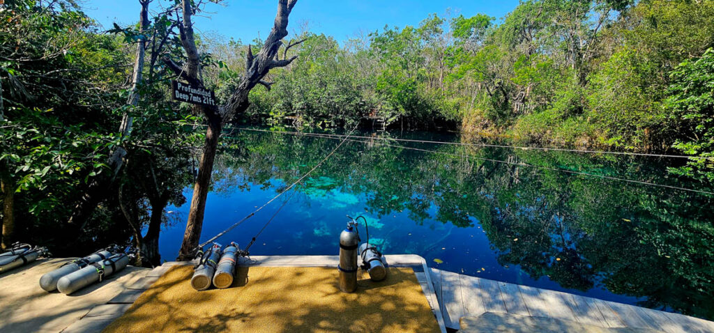 Dive operations are often assessed through the lens of diver