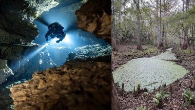 One of Florida’s most important freshwater cave systems, Mill Creek