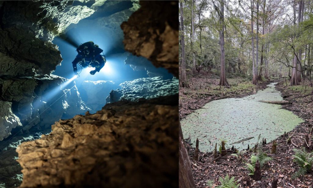 One of Florida’s most important freshwater cave systems, Mill Creek