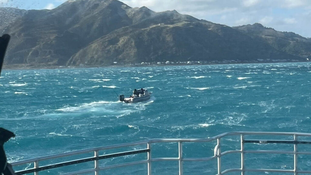 A routine recreational dive off New Zealand’s south coast turned
