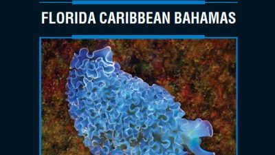 Marine life photographers, underwater naturalists and macro diving enthusiasts have