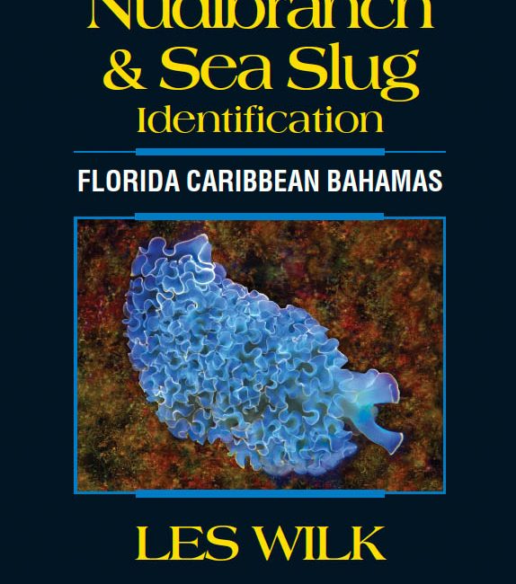 Marine life photographers, underwater naturalists and macro diving enthusiasts have