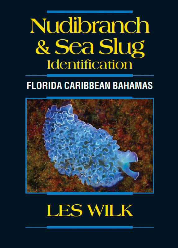 Marine life photographers, underwater naturalists and macro diving enthusiasts have