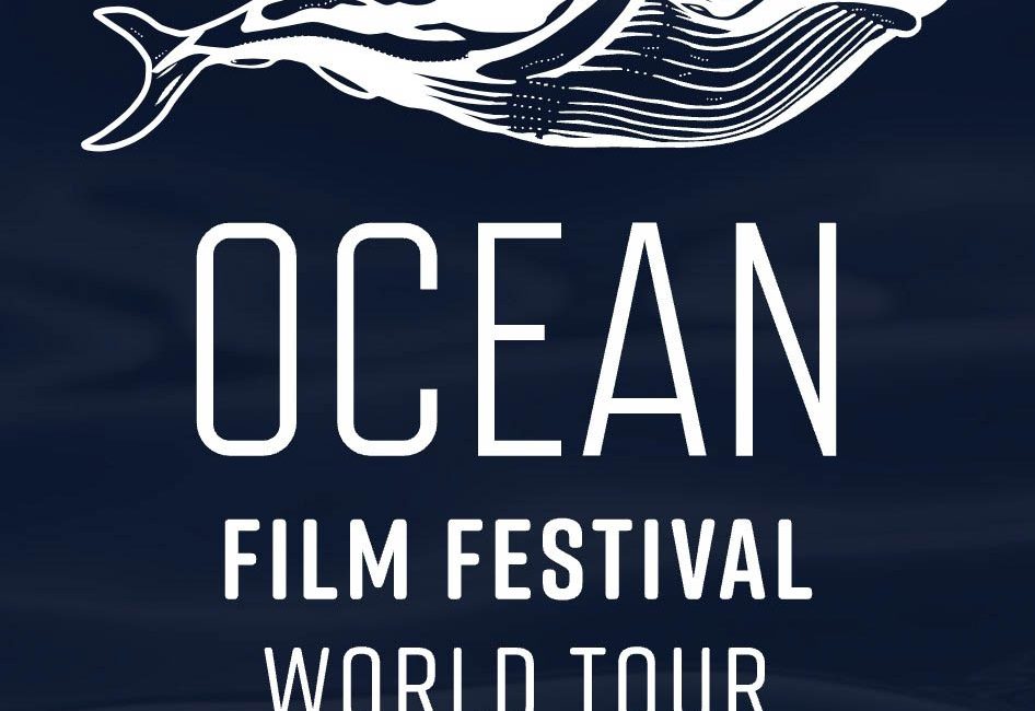 Dive into an unforgettable cinematic journey as The Ocean Film Festival