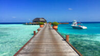 As spring blooms across the globe, avid scuba divers are gearing up for unforgettable underwater adventures. April brings with it a perfect blend of favorable weather conditions and abundant marine life, making it an ideal month for exploring the mesmerizing […]