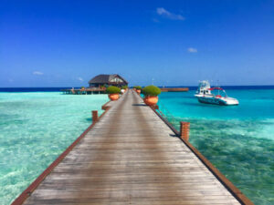As spring blooms across the globe, avid scuba divers are