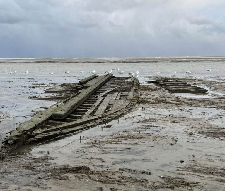 Powerful winds that triggered an Environment Canada warning this week