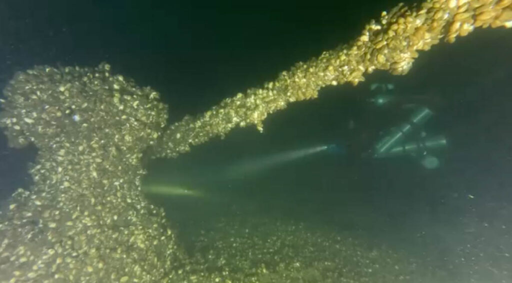 We’re thrilled to unveil the schooner-barge ONONDAGA, discovered off Stony