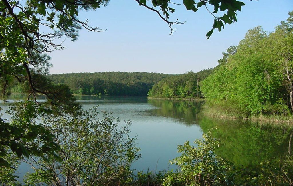 Local sources report that a 70-year-old man died while scuba