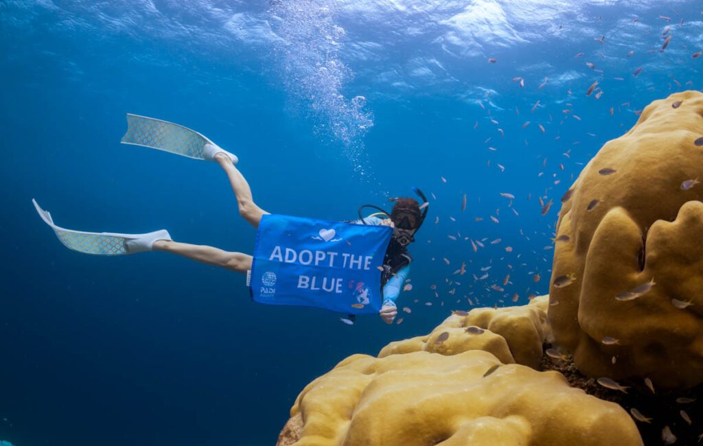 The DAN.PADI Ocean Literacy Project has been officially recognised as