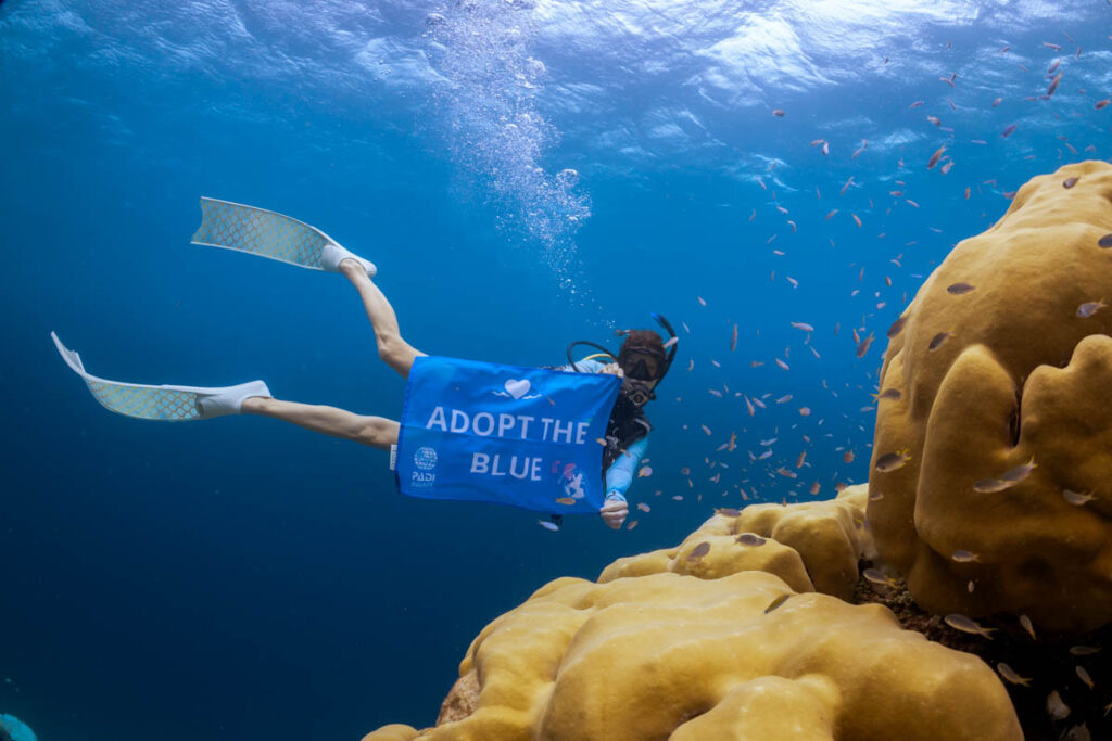 The DAN.PADI Ocean Literacy Project has been officially recognised as