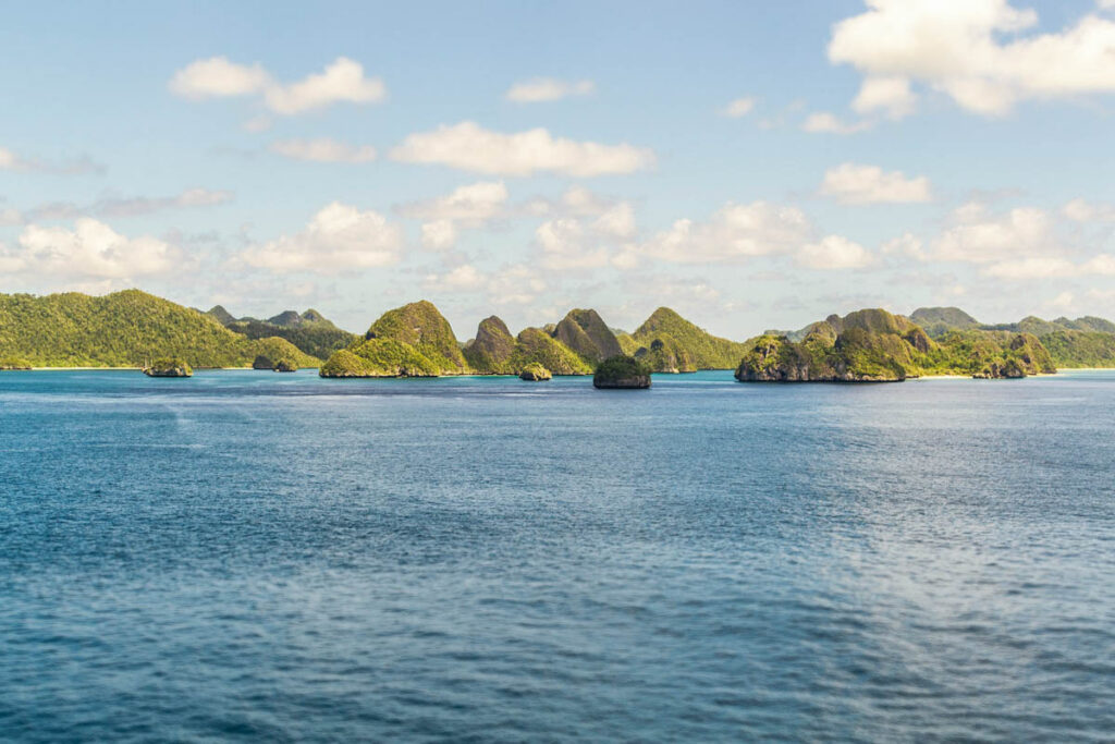 Palau’da popüler bir dalış bölgesinde dalış rehberleri arasında yaşanan bir
