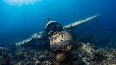 There cannot be many government recruitment campaigns where coral reefs,