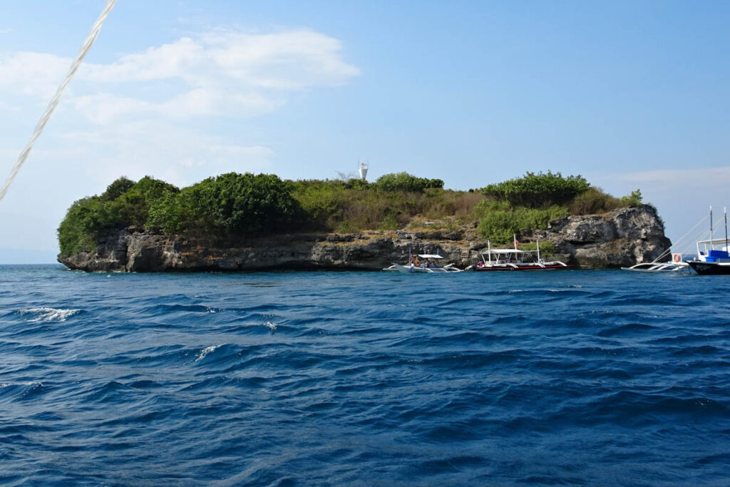 Dalgıç arkadaşları ve dalış camiası üyeleri, 21 Ağustos'ta Cebu, Moalboal'daki