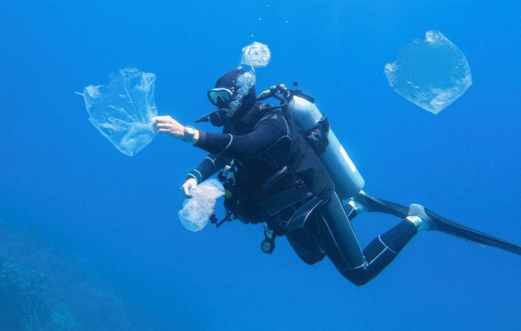 Scuba divers have a unique relationship with the underwater world.