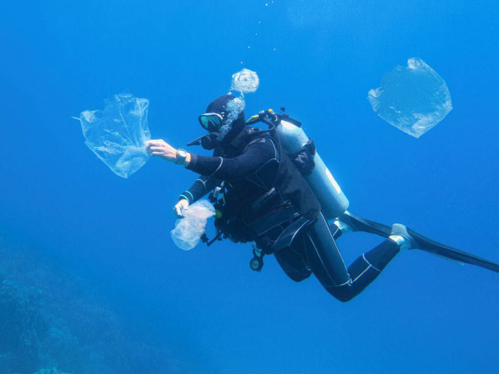 Scuba divers have a unique relationship with the underwater world.
