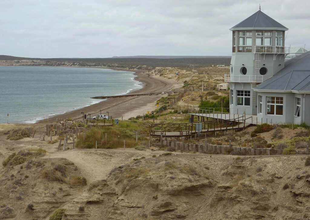 Training Dive Tragedy in Argentina Raises Questions About Supervision and Safety at Artificial Reef Sites A routine student training dive in Argentina’s Golfo Nuevo has