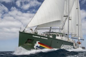 Greenpeace, Marmara Denizi’nin daha fazla kirliliği kaldıramayacağını belirterek “Vanayı kapat”