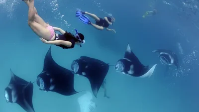 By DIVE Contributors A recently published study led by the
