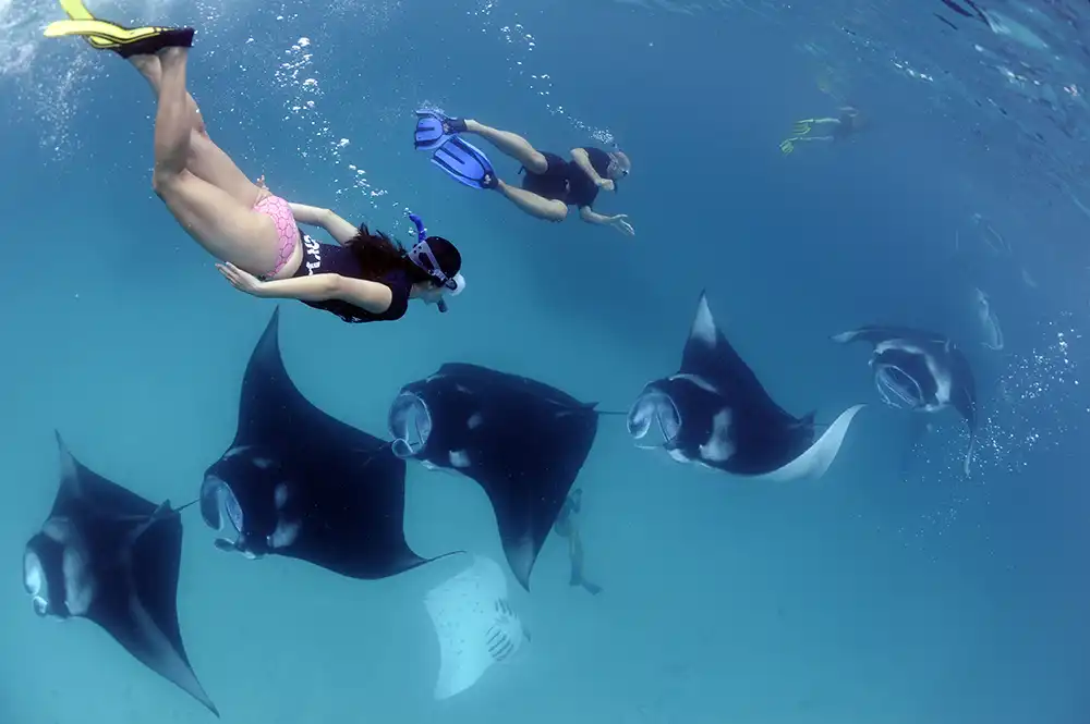 By DIVE Contributors A recently published study led by the