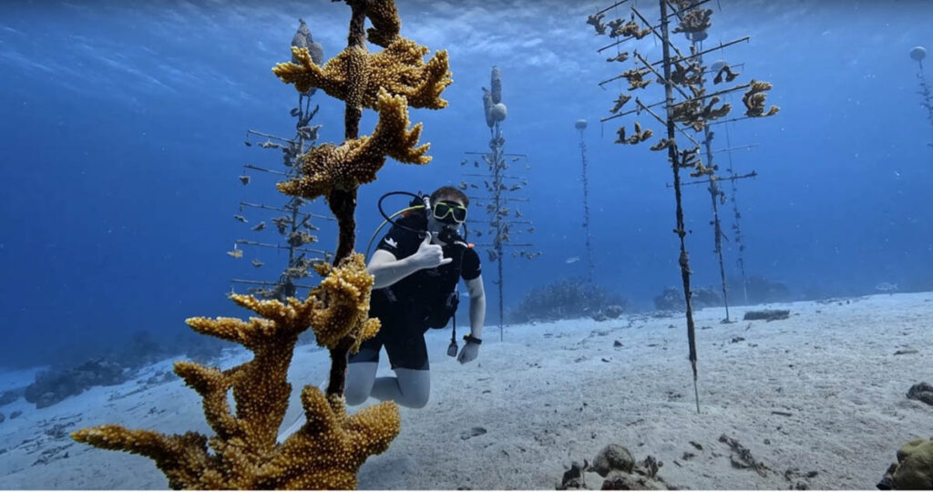 This year marks a decade since Reef Renewal Foundation Curaçao