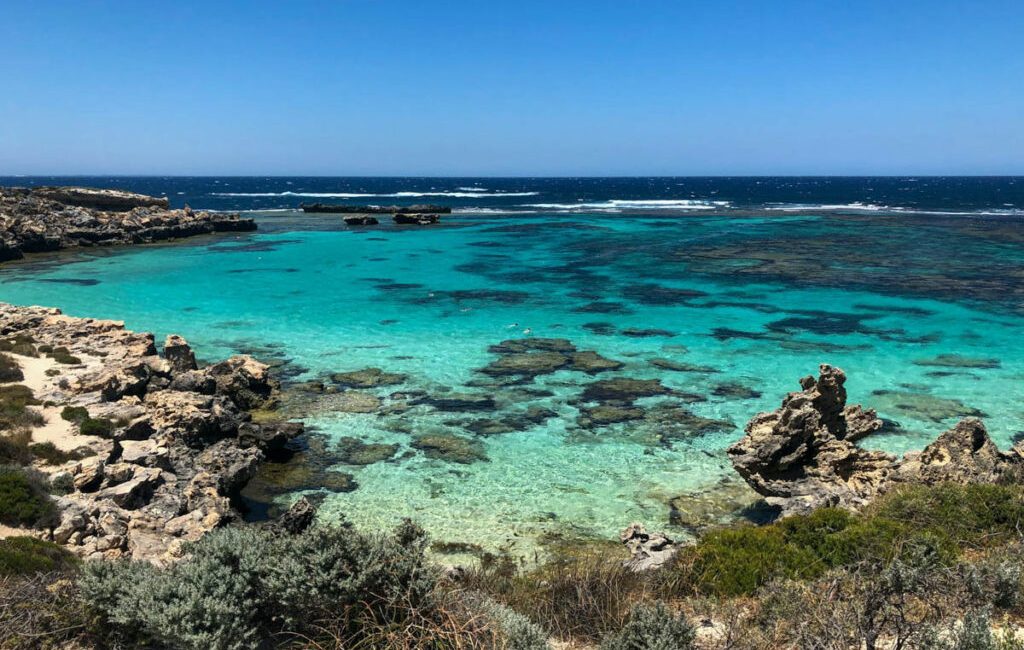 A Western Australian dive operator has been fined nearly AUD