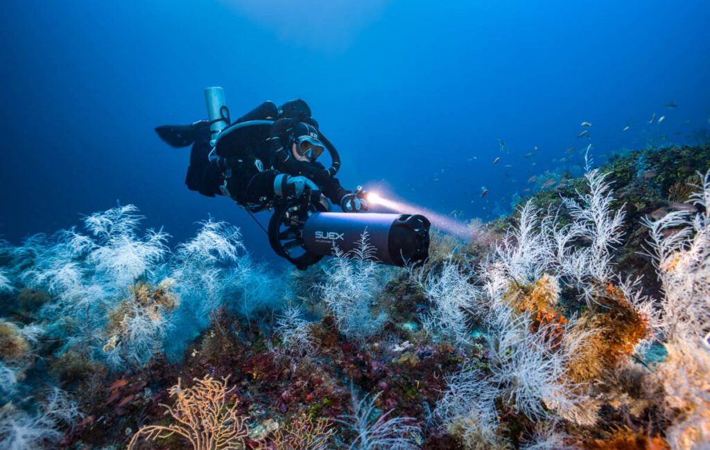 SUEX Confirms Launch of SUEX Sport USA as Official American Affiliate Italian DPV manufacturer SUEX has formally confirmed the establishment of SUEX Sport