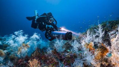 Italian DPV manufacturer SUEX has formally confirmed the establishment of SUEX Sport