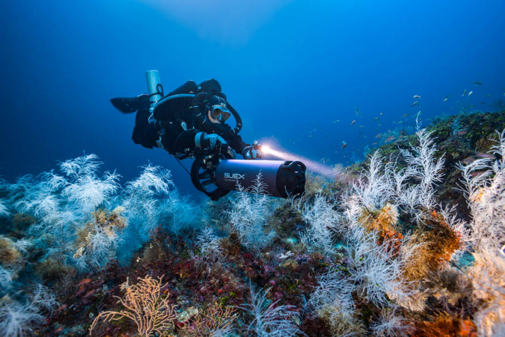 Italian DPV manufacturer SUEX has formally confirmed the establishment of SUEX Sport
