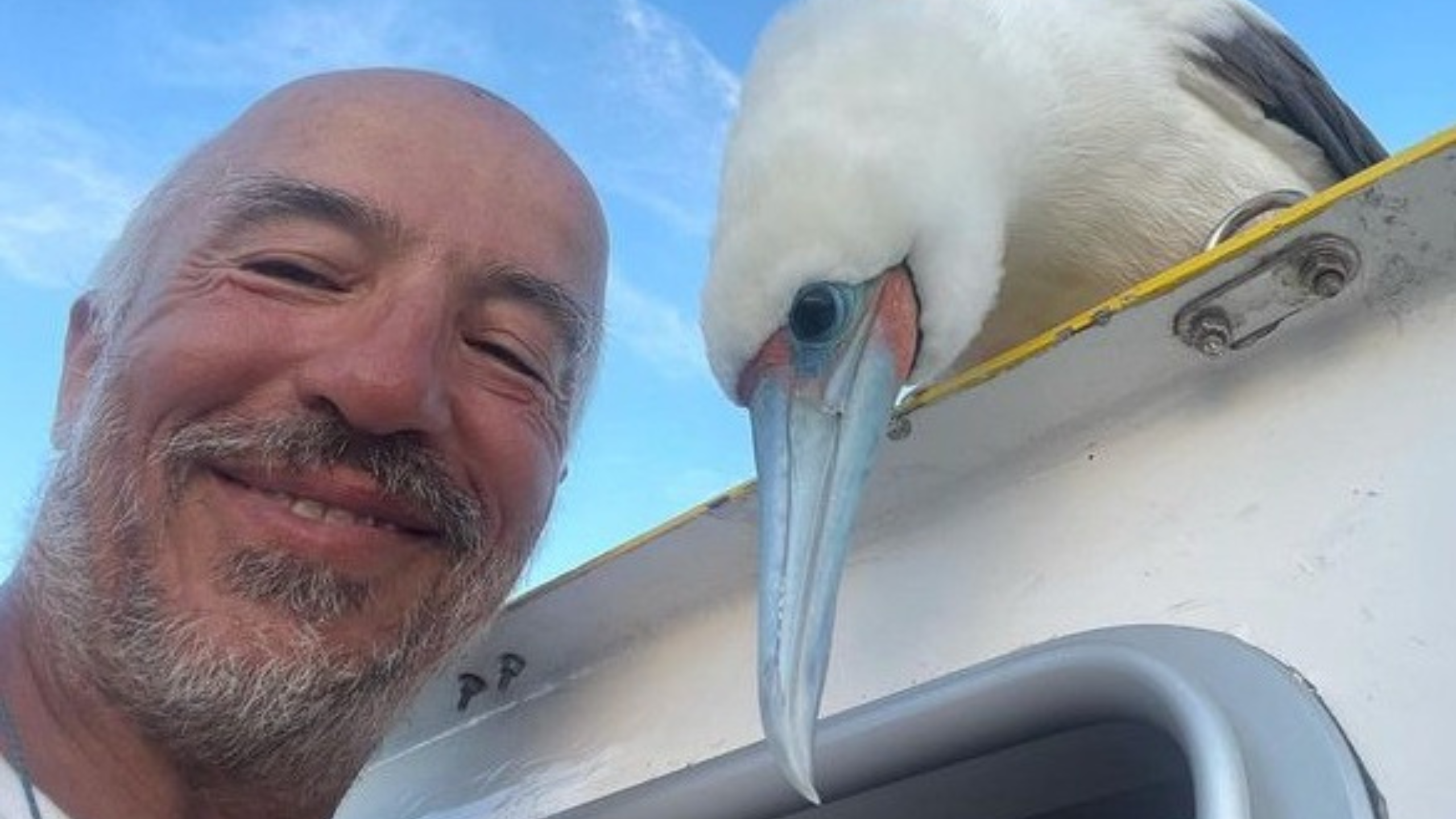 Salı günü Lymington’a vardım.
Bu sabah tekneyi karaya alıyoruz.
Yapılacaklar listesini alıp