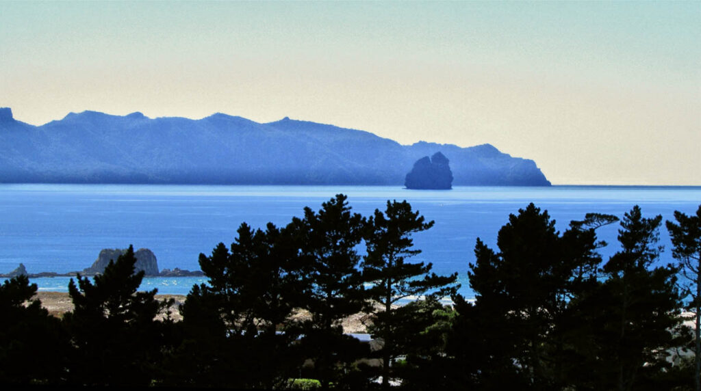 A New Zealand dive operator is seeking compensation and accountability