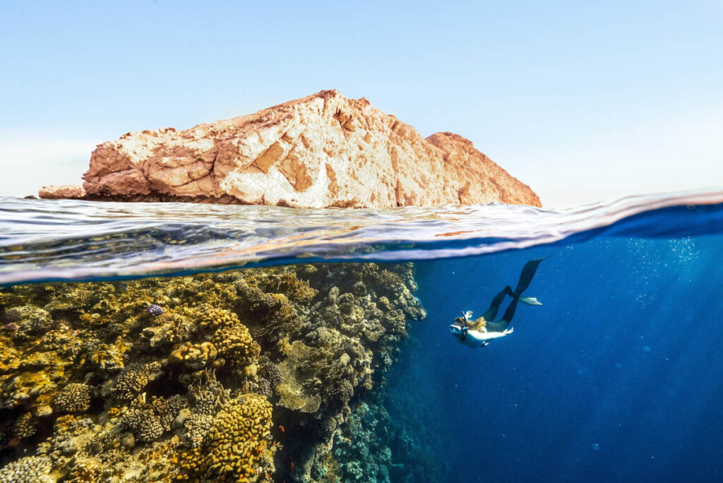 Saudi Red Sea Developments Claim Net-Positive Marine Impact, Raising Big Questions for Divers Saudi Arabia’s ambitious Red Sea tourism expansion is positioning itself