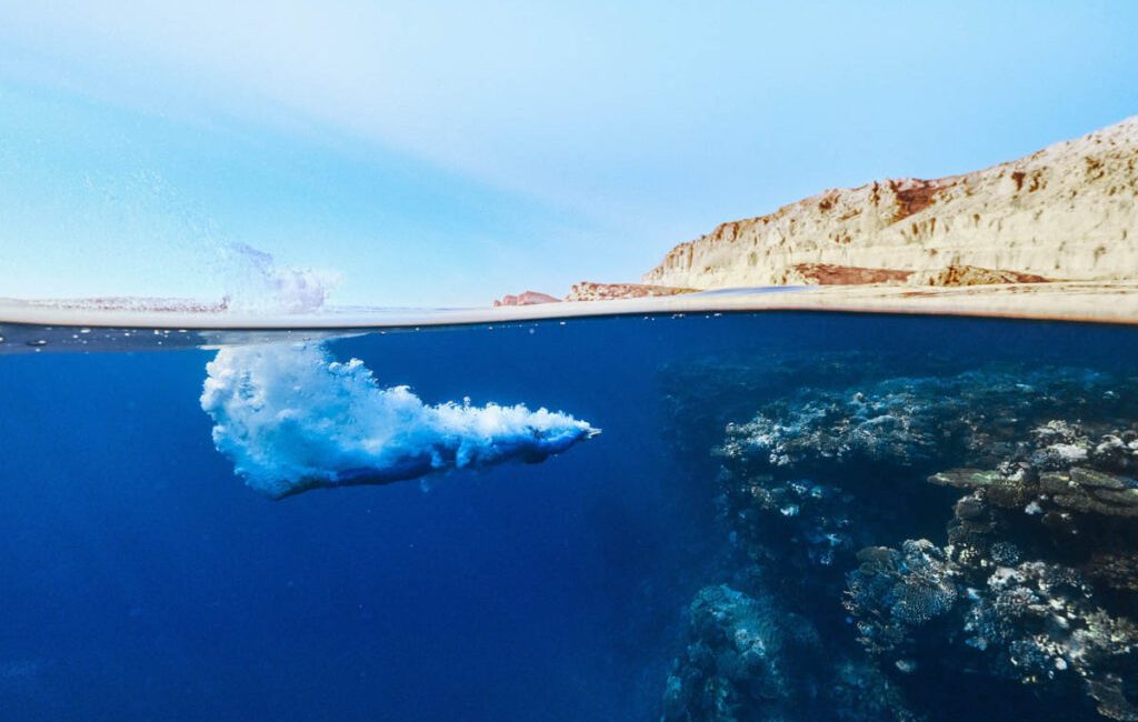 Saudi Arabia Approves Its First Shark Cage Diving Licence at Ras Hatiba Reserve Saudi Arabia has officially approved its first licensed shark cage