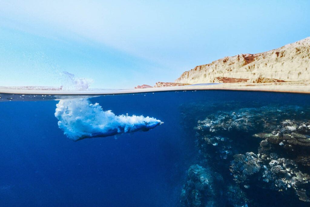 Saudi Arabia Approves Its First Shark Cage Diving Licence at Ras Hatiba Reserve Saudi Arabia has officially approved its first licensed shark cage