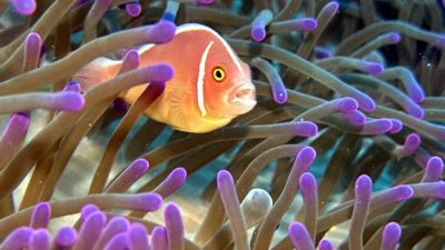 Every diver has a list. Sometimes it’s written down. Sometimes