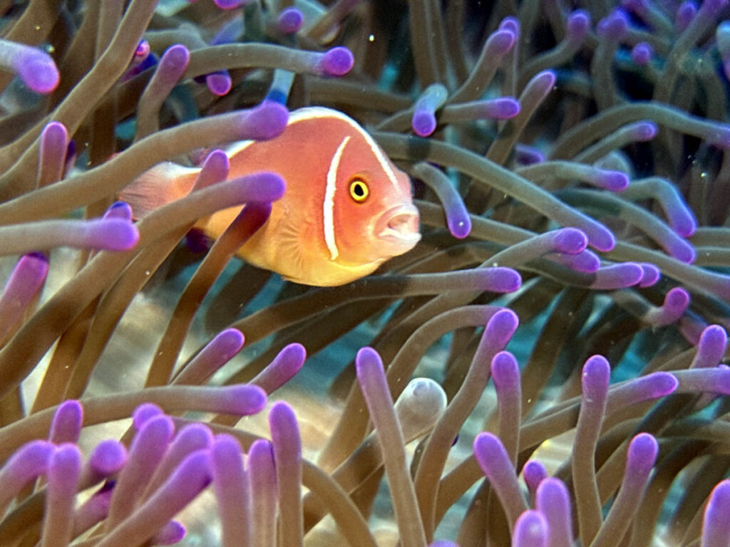 Every diver has a list. Sometimes it’s written down. Sometimes