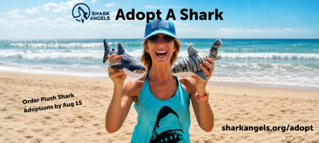 Two ways to adopt a shark this summer: bring home