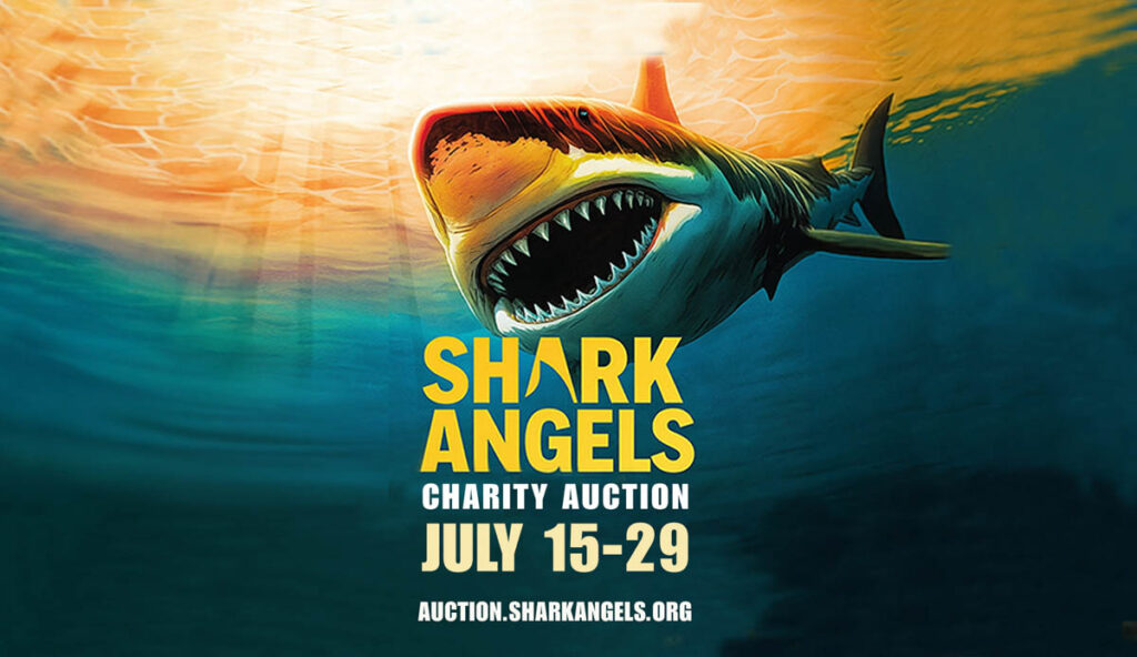This Shark Week, Shark Angels invites ocean lovers to turn their passion