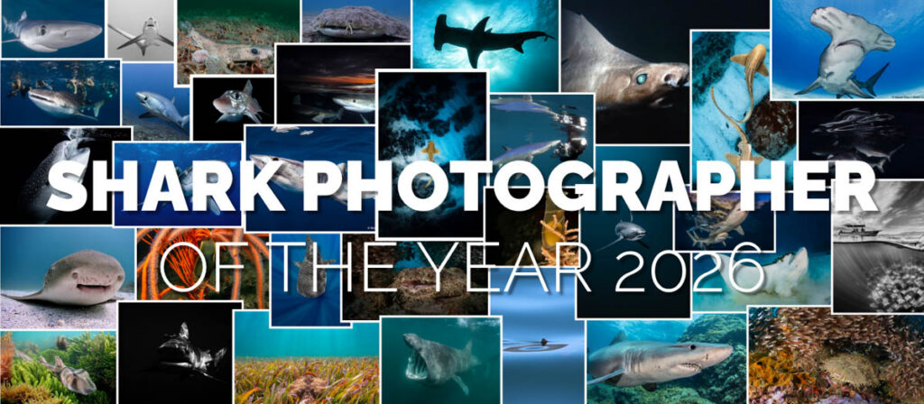 The Shark Trust has officially opened entries for the Shark