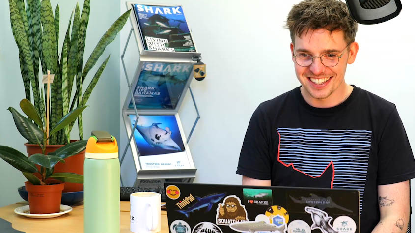 The second series of the Shark Trust podcast Living with Sharks launches