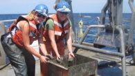 On this, the International Day of Women and Girls in Science, US Sailing had a brief chat with Shelley Brown about what inspired her to get involved in the sciences and why it’s so important for women and girls to […]