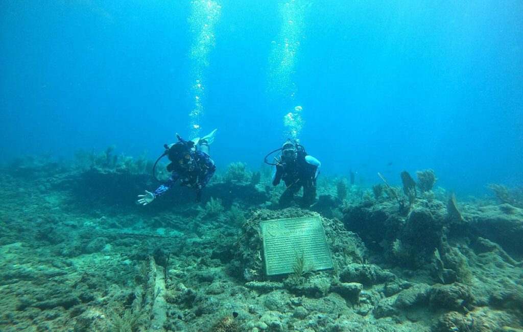 From measuring centuries-old wrecks to recording fragile archaeological sites, trained