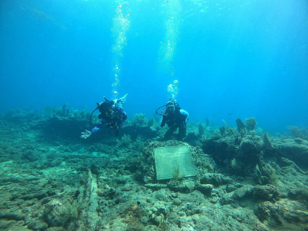 From measuring centuries-old wrecks to recording fragile archaeological sites, trained
