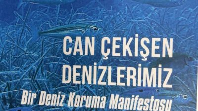 Denizleri, neden korunması gerektiğini, nasıl korunacağını, biyoçeşitlilikte ki değişimi, deniz