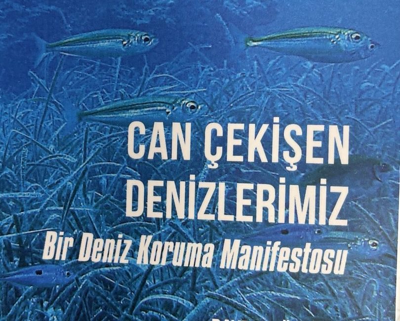 Denizleri, neden korunması gerektiğini, nasıl korunacağını, biyoçeşitlilikte ki değişimi, deniz