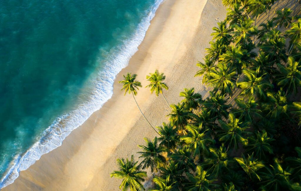 A honeymoon trip to Sri Lanka has ended in tragedy