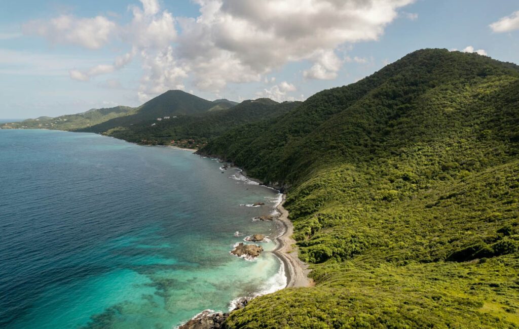 A 56-year-old American woman has died following a suspected shark