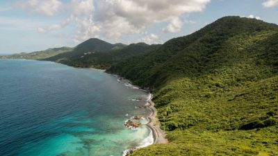 A 56-year-old American woman has died following a suspected shark