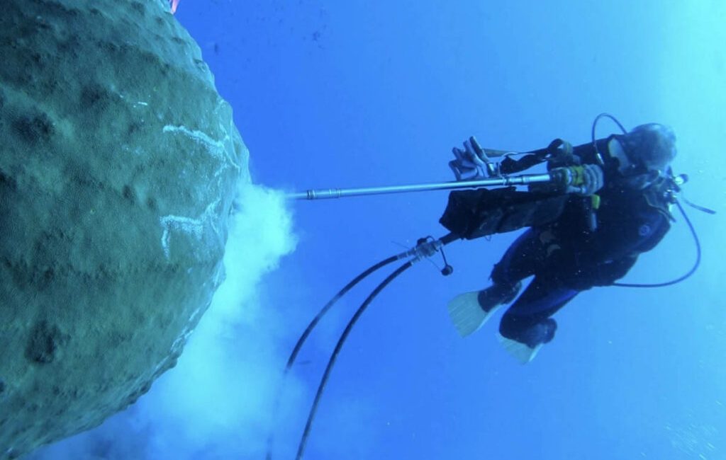 One of the healthiest coral reef systems in the continental
